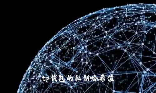 TP钱包私钥哈希值：保护您的数字资产安全