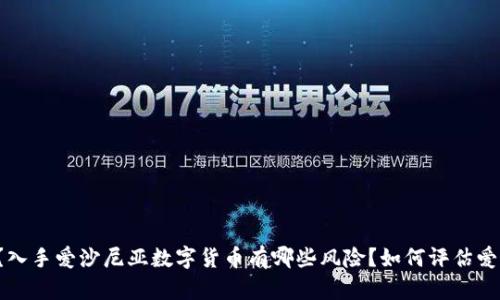 爱沙尼亚数字货币是什么？入手爱沙尼亚数字货币有哪些风险？如何评估爱沙尼亚数字货币的含金量？