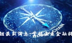 迈盛络区块链最新消息：掌握未来金融科技的新