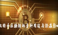 比特币区块链的多种用途与潜在影响
