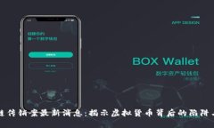 区块链传销案最新消息：揭示虚拟货币背后的陷