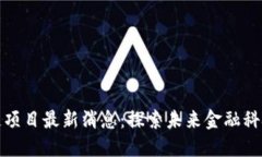 王欣的区块链项目最新消息：探索未来金融科技
