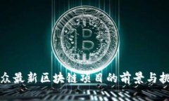 大众最新区块链项目的前景与挑战