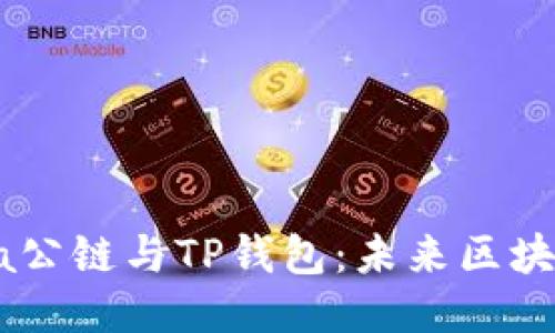 深入探讨Solana公链与TP钱包：未来区块链技术的交汇点