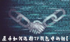 屎币如何选择TP钱包中的链？