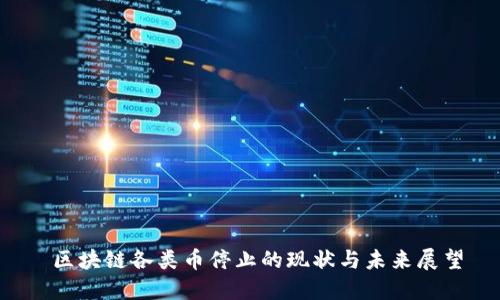  区块链各类币停止的现状与未来展望