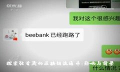 探索张首晟的区块链流通币：影响与前景