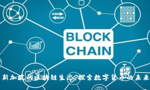 新加坡的区块链生态：探索数字货币的未来