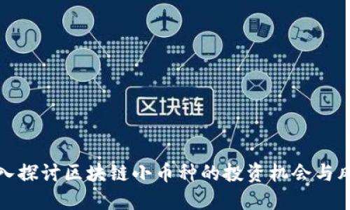 深入探讨区块链小币种的投资机会与风险