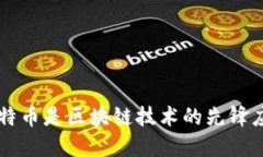 比特币是区块链技术的先锋应用