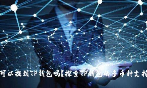 所有币都可以提到TP钱包吗？探索TP钱包的多币种支持与安全性