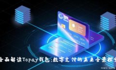 全面解读Topay钱包：数字支付的未来全景探索