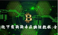 如何有效下载狗狗币区块链数据：全面指南