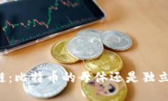 区块链：比特币的母体还是独立创新？
