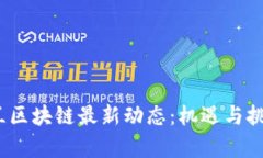  乌克兰区块链最新动态：机遇与挑战并存