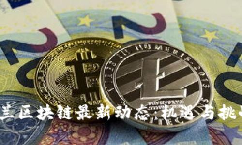  乌克兰区块链最新动态：机遇与挑战并存