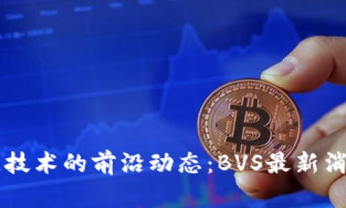 区块链技术的前沿动态：BVS最新消息解析
