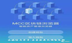 区块链与单币：未来发展的明智选择