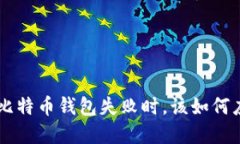 当你的TP钱包比特币钱包失败时，该如何应对并重